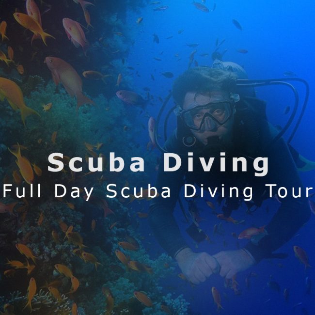 Full Day Scuba Diving Tour